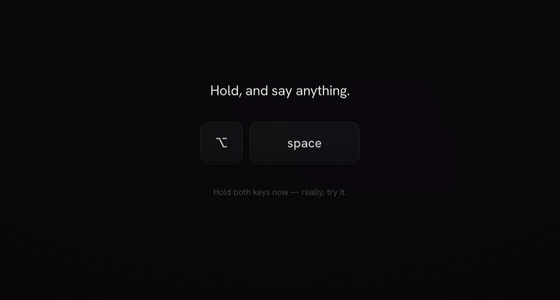 First-capture loop: hold, speak, release, settle